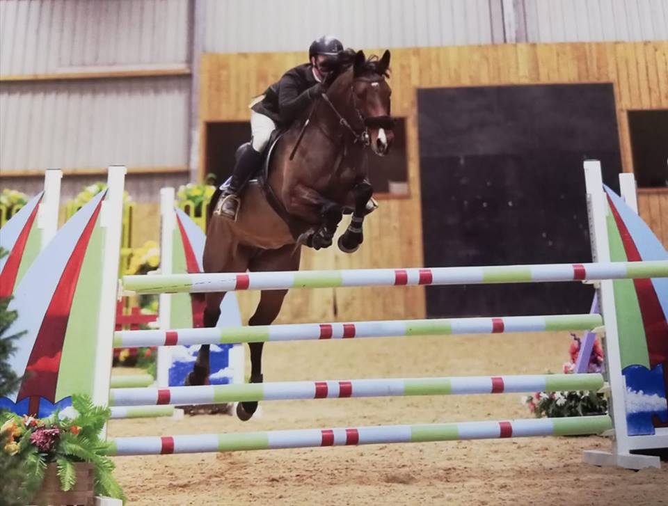 Grade A Showjumpers For Sale.jpg